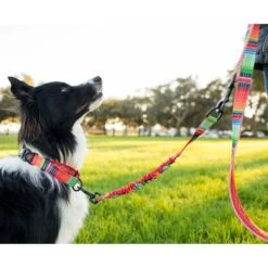 Leashboss Patterned Bungee Extension, 18-in -PetSafe Kong Shop 699014 PT4. AC SS1800 V1669930638