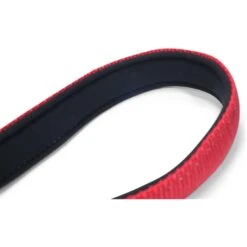 Leashboss Padded Handle Short Dog Leash 8 Leashboss Padded Handle Short Dog Leash -PetSafe Kong Shop 699086 PT3. AC SS1800 V1669943857