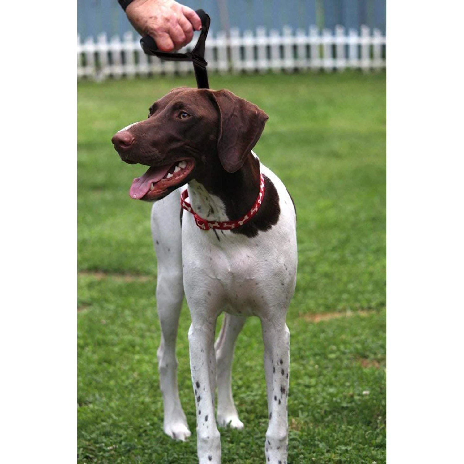 Leashboss Traffic Handle Short Dog Leash 6 Leashboss Traffic Handle Short Dog Leash - Image 6