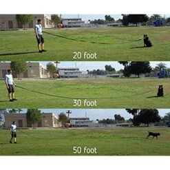 Leashboss Handle X-Long Dog Leash -PetSafe Kong Shop 699166 PT4. AC SS1800 V1669993227