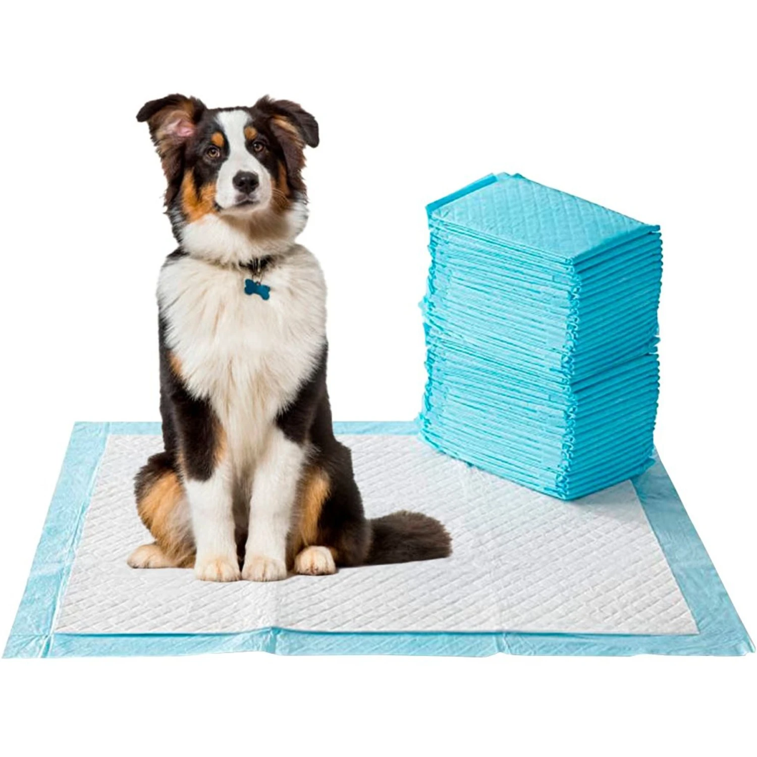 Hygena Scoop High Absorbant Dog Potty Pads, Large, 40 Count 1 Hygena Scoop High Absorbant Dog Potty Pads, Large, 40 Count