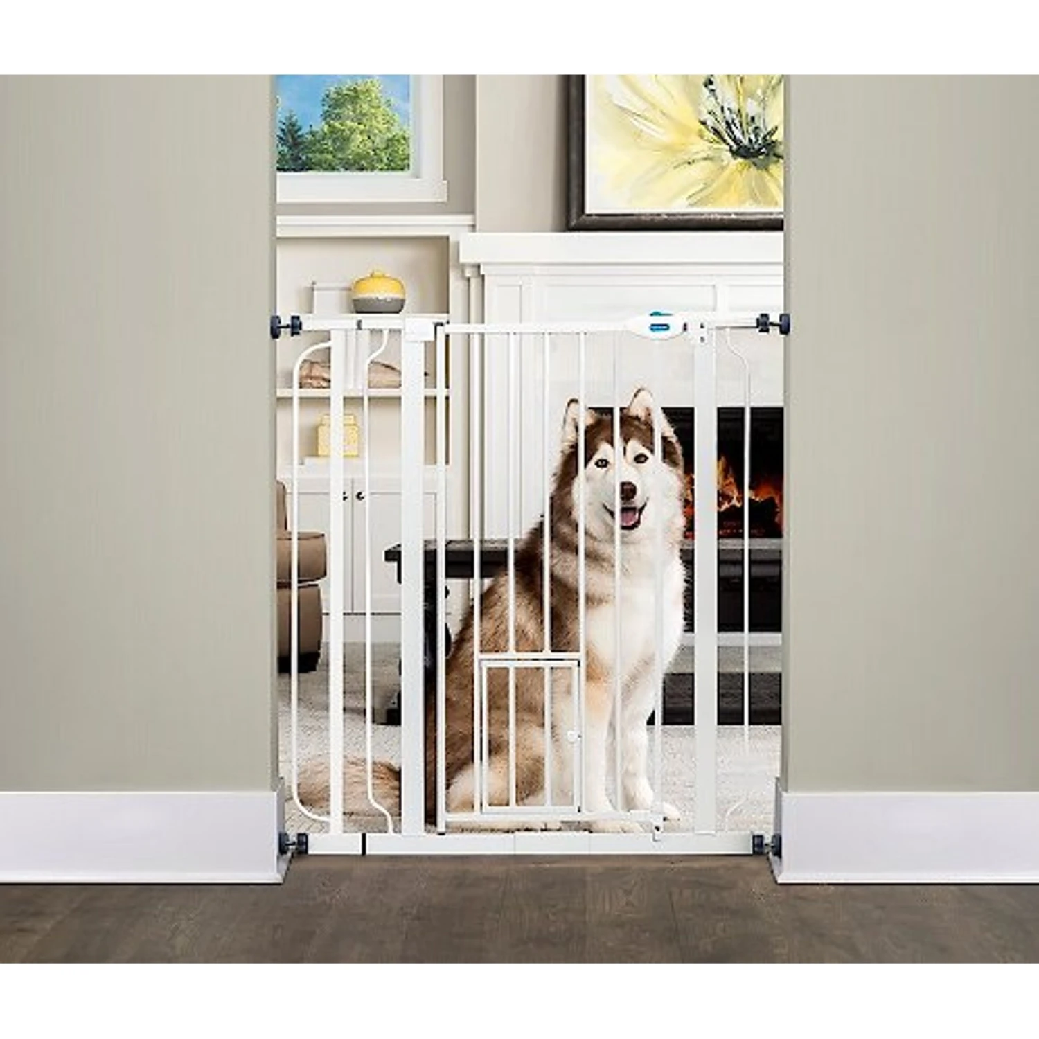 Carlson Pet Products Extra Tall Walk-Thru Dog Gate With Pet Door 1 Carlson Pet Products Extra Tall Walk-Thru Dog Gate With Pet Door