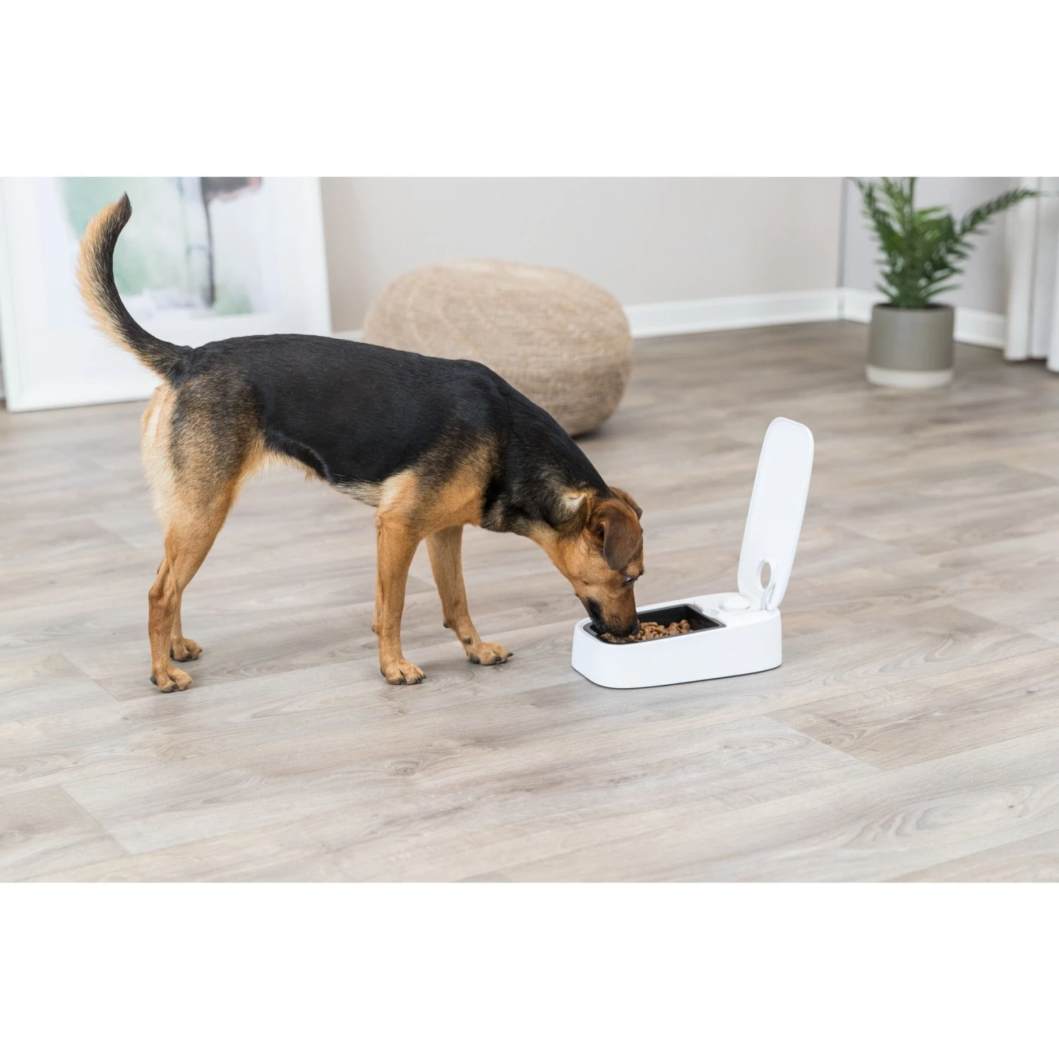 TRIXIE TX1 Automatic Cat & Dog Food Dispenser, White 2 TRIXIE TX1 Automatic Cat & Dog Food Dispenser, White - Image 2