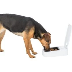 TRIXIE TX1 Automatic Cat & Dog Food Dispenser, White 9 TRIXIE TX1 Automatic Cat & Dog Food Dispenser, White -PetSafe Kong Shop 701758 PT2. AC SS1800 V1668456976