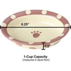 PetRageous Designs Polka Paws Oval Ceramic Dog & Cat Bowl, Pink, 1-cup -PetSafe Kong Shop 70323 PT3. AC SS1800 V1628185278
