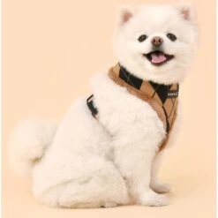 Puppia Jaden A No Pull Dog Harness -PetSafe Kong Shop 705686 PT2. AC SS1800 V1668107059