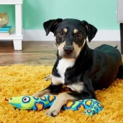 Fat Cat Incredible Strapping Yankers Snake Squeaky Dog Toy, Color Varies -PetSafe Kong Shop 70569 PT2. AC SS1800 V1530544752