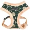 Puppia Florent A No Pull Dog Harness