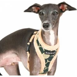 Puppia Florent A No Pull Dog Harness 6 Puppia Florent A No Pull Dog Harness -PetSafe Kong Shop 705854 PT2. AC SS1800 V1668107452