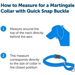 PetSafe Quick Snap Buckle Nylon Martingale Dog Collar -PetSafe Kong Shop 70814 PT2. AC SS1800 V1665526198