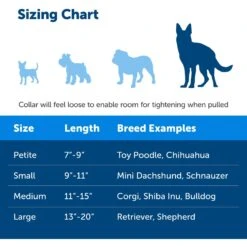 PetSafe Quick Snap Buckle Nylon Martingale Dog Collar -PetSafe Kong Shop 70814 PT3. AC SS1800 V1665526493