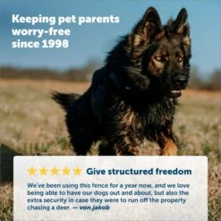 PetSafe YardMax Extra Receiver Collar For In-Ground Fence System -PetSafe Kong Shop 70918 PT3. AC SS1800 V1685629555