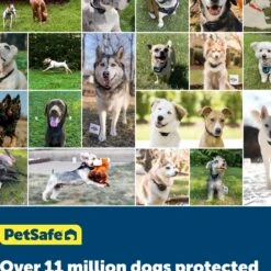 PetSafe YardMax Extra Receiver Collar For In-Ground Fence System -PetSafe Kong Shop 70918 PT5. AC SS1800 V1685634970