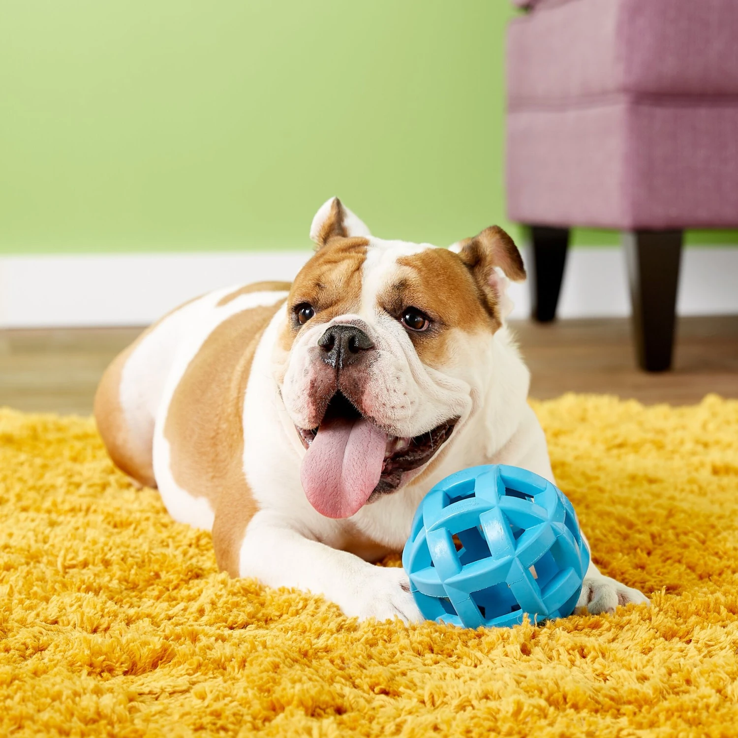 JW Pet Hol-ee Roller X Extreme Dog Toy 2 JW Pet Hol-ee Roller X Extreme Dog Toy - Image 2