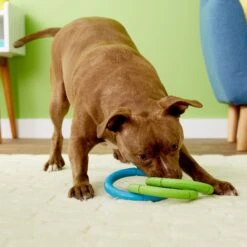 JW Pet Invincible Chains Triple Dog Toy, Color Varies -PetSafe Kong Shop 71039 pt8. AC SS1800 V1503351698