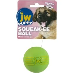 JW Pet ISqueak Ball Dog Toy, Color Varies