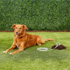 Aspen Pet Large Tie-Out Cable -PetSafe Kong Shop 71083 PT5. AC SS1800 V1518563466