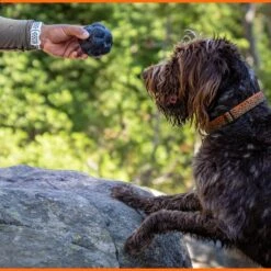 Monster K9 Dog Toys Ultra Durable Tumbler Interactive Dog Toy, Black -PetSafe Kong Shop 711342 PT6. AC SS1800 V1668809680