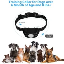 Petdiary Rechargeable Advanced Remote Training Dog Collar, Black/Silver, Medium 13 Petdiary Rechargeable Advanced Remote Training Dog Collar, Black/Silver, Medium -PetSafe Kong Shop 711582 PT4. AC SS1800 V1671733300
