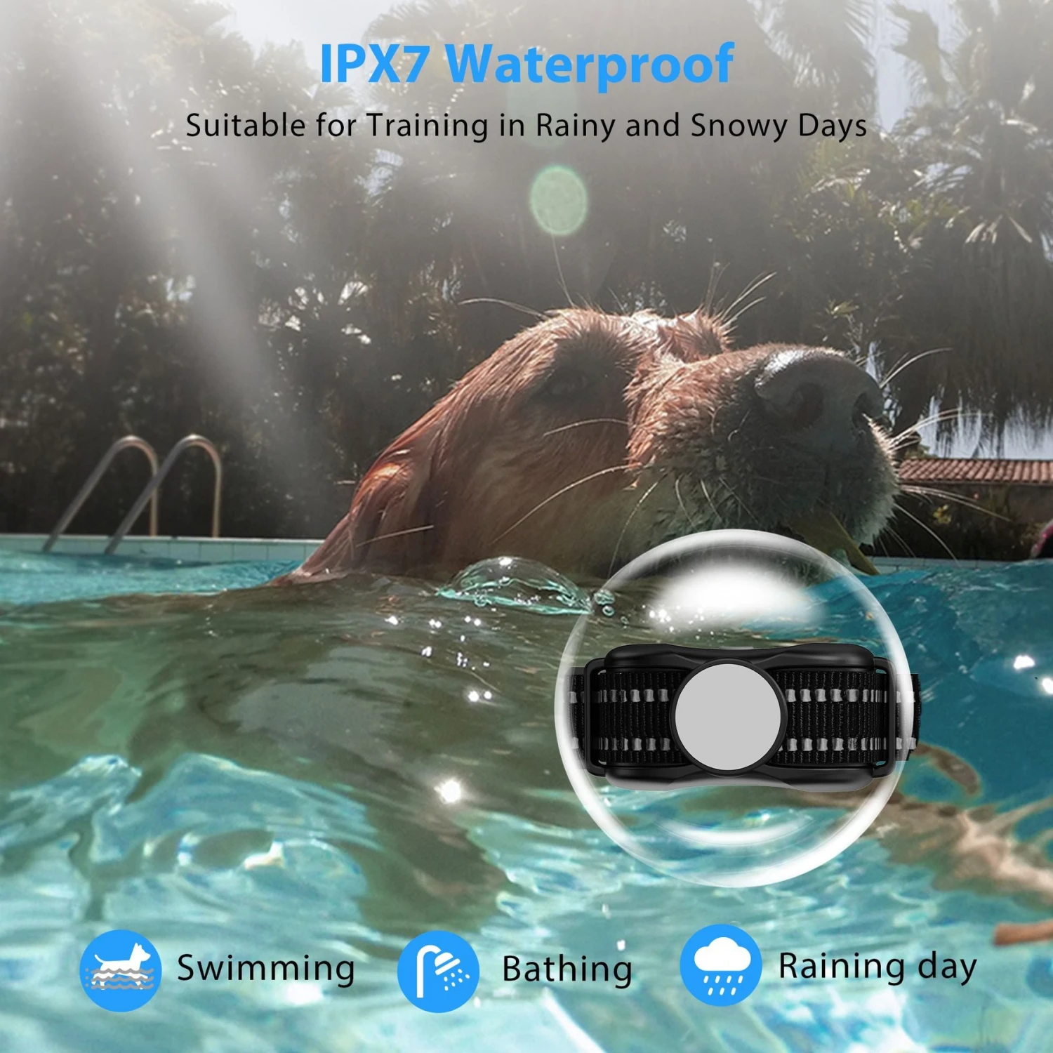 Petdiary Rechargeable Advanced Remote Training Dog Collar, Black/Silver, Medium 8 Petdiary Rechargeable Advanced Remote Training Dog Collar, Black/Silver, Medium - Image 8