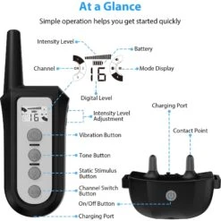 Petdiary Rechargeable Advanced Remote Training Dog Collar, Black/Silver, Medium 17 Petdiary Rechargeable Advanced Remote Training Dog Collar, Black/Silver, Medium -PetSafe Kong Shop 711582 PT8. AC SS1800 V1671723381