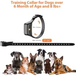 Petdiary Rechargeable Advanced Remote Dog Trainer Accessory, Black, Large 16 Petdiary Rechargeable Advanced Remote Dog Trainer Accessory, Black, Large -PetSafe Kong Shop 711630 PT7. AC SS1800 V1671723443