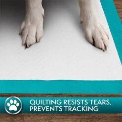 Simple Solution Original Training Pads, 23" X 24" 14 Simple Solution Original Training Pads, 23" X 24" -PetSafe Kong Shop 71191 PT7. AC SS1800 V1567777055