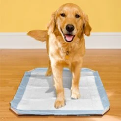 Simple Solution Training Pad Holder -PetSafe Kong Shop 71193 PT3. AC SS1800 V1633077382