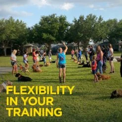 Dogtra ARC Handsfree Plus Additional Receiver Dog Remote Training Collar, Orange -PetSafe Kong Shop 712987 PT3. AC SS1800 V1668628227