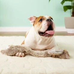 Ethical Pet Skinneeez Forest Series Rabbit Stuffing-Free Squeaky Plush Dog Toy 8 Ethical Pet Skinneeez Forest Series Rabbit Stuffing-Free Squeaky Plush Dog Toy -PetSafe Kong Shop 71338 PT7. AC SS1800 V1527093123