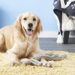 Ethical Pet Skinneeez Forest Series Rabbit Stuffing-Free Squeaky Plush Dog Toy 9 Ethical Pet Skinneeez Forest Series Rabbit Stuffing-Free Squeaky Plush Dog Toy -PetSafe Kong Shop 71338 PT8. AC SS1800 V1531508819