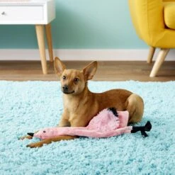 Ethical Pet Skinneeez Exotic Series Pink Flamingo Stuffing-Free Squeaky Plush Dog Toy -PetSafe Kong Shop 71468 PT6. AC SS1800 V1530545008