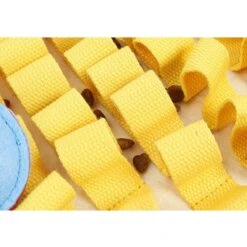 Archstone Pets Porcupine Dog Snuffle Mat -PetSafe Kong Shop 715190 PT4. AC SS1800 V1669388353