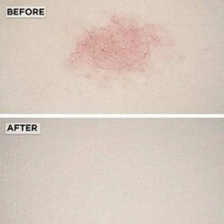 TriNova Carpet Spot Remover Spray, 18-oz Bottle -PetSafe Kong Shop 716422 PT3. AC SS1800 V1683905952