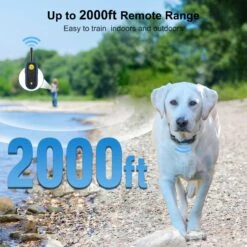 PATPET 1000-ft Remote Shock Collar Anti Bark Adult Dog Training Collar, Blue, Small 9 PATPET 1000-ft Remote Shock Collar Anti Bark Adult Dog Training Collar, Blue, Small -PetSafe Kong Shop 716630 PT2. AC SS1800 V1670512702