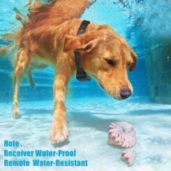 PATPET P630 1800-foot Vibration & Sound Remote Dog Training Collar 7 PATPET P630 1800-foot Vibration & Sound Remote Dog Training Collar -PetSafe Kong Shop 716646 PT3. AC SS1800 V1670451674