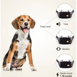 PATPET P620B 2000-foot Adult Dog Training Shock Collar With Remote -PetSafe Kong Shop 716662 PT1. AC SS1800 V1669681477