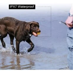 PATPET P620B 2000-foot Adult Dog Training Shock Collar With Remote -PetSafe Kong Shop 716662 PT5. AC SS1800 V1669680119