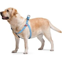 WAUDOG Re-Cotton Recycled Material QR Passport Dog Harness -PetSafe Kong Shop 717318 PT3. AC SS1800 V1669655456