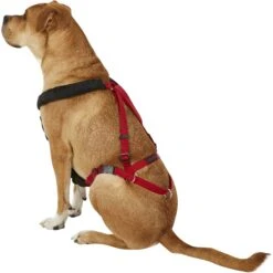Ultra Paws One Adjustable Pulling Dog Harness -PetSafe Kong Shop 71760 PT3. AC SS1800 V1550091756