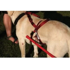 Ultra Paws One Adjustable Pulling Dog Harness -PetSafe Kong Shop 71760 PT4. AC SS1800 V1480553802