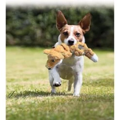 KONG Scrunch Knots Raccoon Dog Toy -PetSafe Kong Shop 71943 PT6. AC SS1800 V1603155978