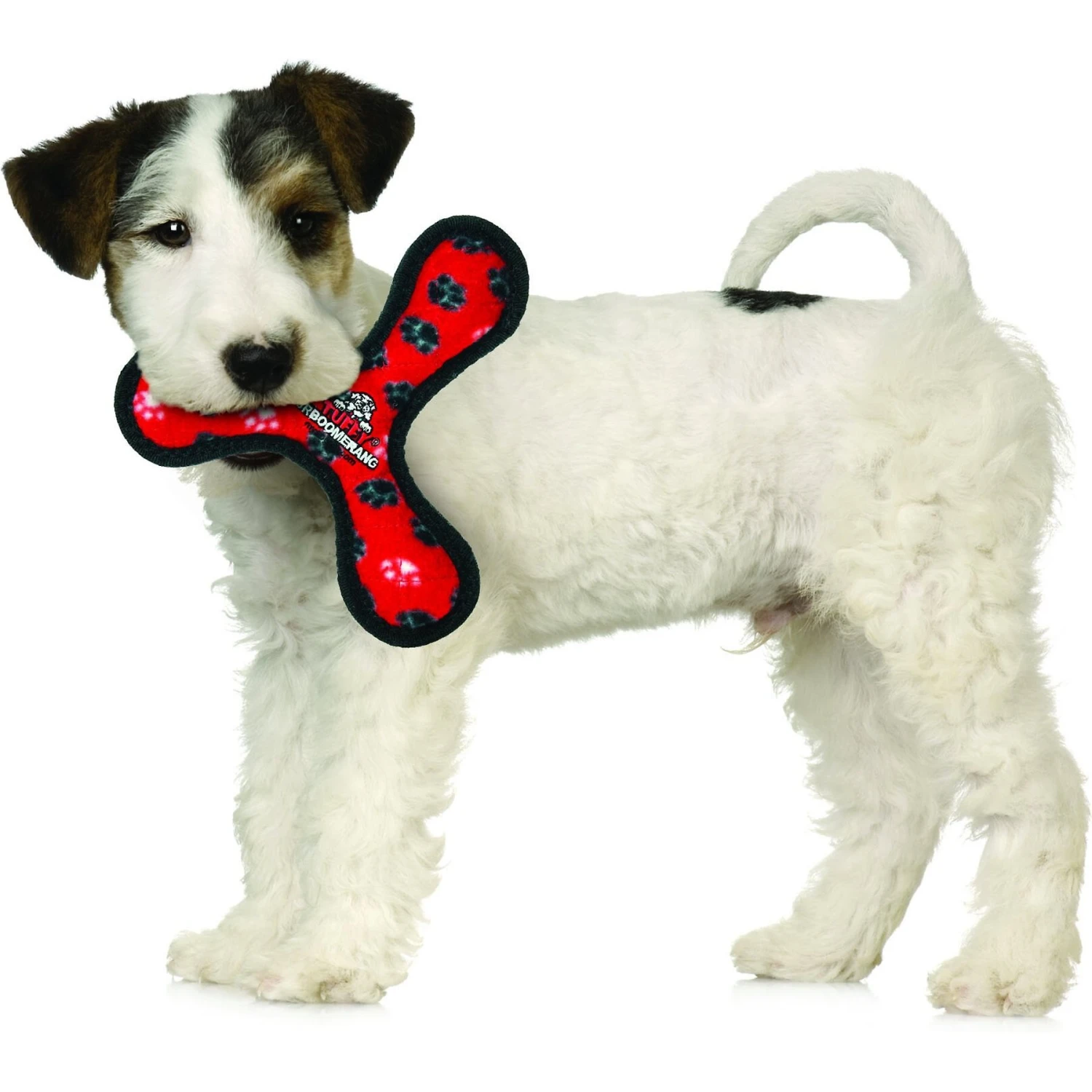 Tuffy's Junior Bowmerang Squeaky Plush Dog Toy 3 Tuffy's Junior Bowmerang Squeaky Plush Dog Toy - Image 3