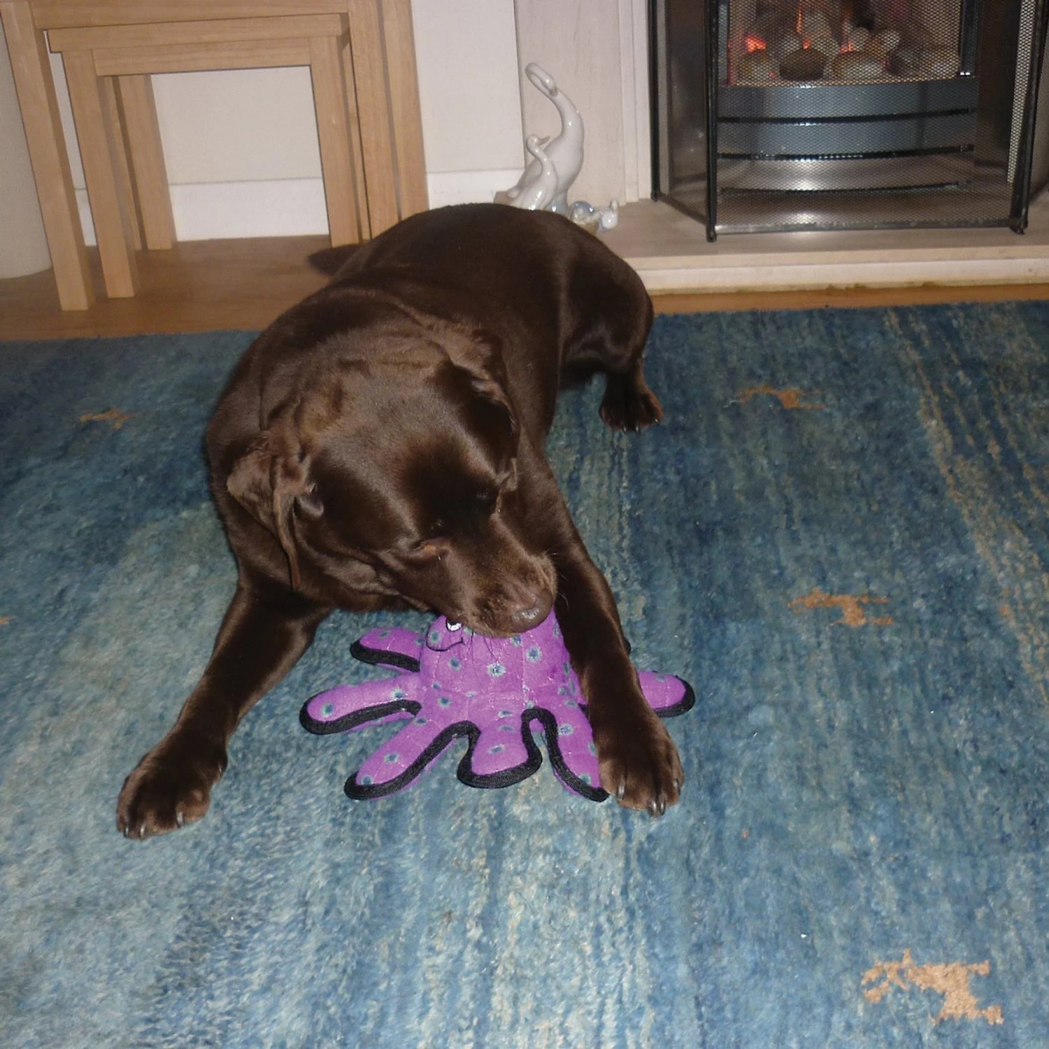 Tuffy's Junior Bowmerang Squeaky Plush Dog Toy 4 Tuffy's Junior Bowmerang Squeaky Plush Dog Toy - Image 4