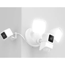 Wyze 2600 Lumen LEDs Color Night Vision Floodlight V3 Dog Camera