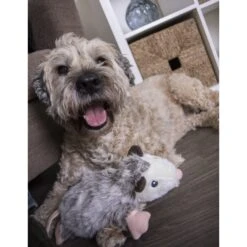 GoDog Flatz Opossum Squeaky Plush Dog Toy, Gray, Large -PetSafe Kong Shop 721662 PT4. AC SS1800 V1671200712