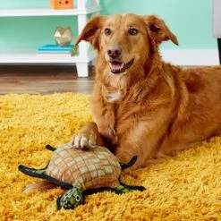 Tuffy's Ocean Creatures Burtle Turtle Plush Dog Toy -PetSafe Kong Shop 72169 PT3. AC SS1800 V1530544980