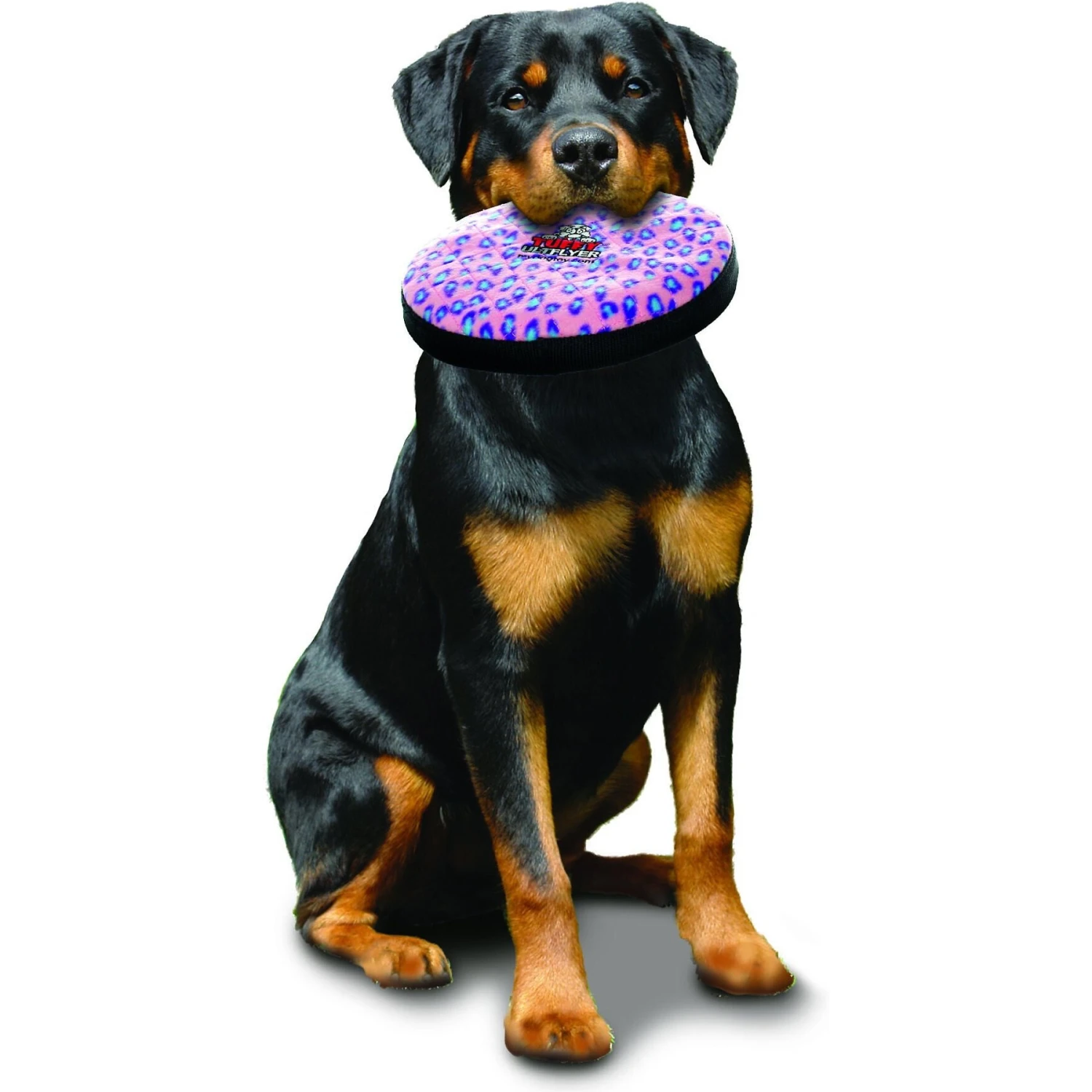 Tuffy's Ultimate Flyer Squeaky Plush Dog Toy 3 Tuffy's Ultimate Flyer Squeaky Plush Dog Toy - Image 3