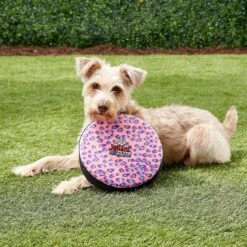 Tuffy's Ultimate Flyer Squeaky Plush Dog Toy 12 Tuffy's Ultimate Flyer Squeaky Plush Dog Toy -PetSafe Kong Shop 72193 PT3. AC SS1800 V1589493725