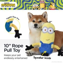 Fetch For Pets Minions Kevin Rope Limb Pull Dog Toy -PetSafe Kong Shop 722174 PT3. AC SS1800 V1672175168